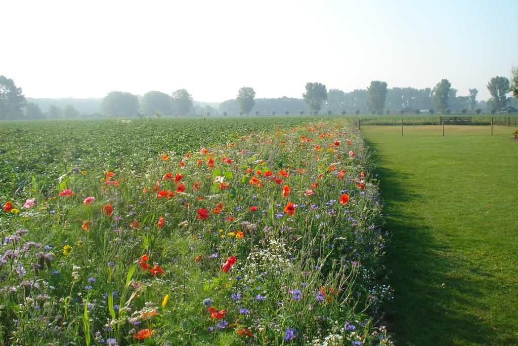 Lodgerie Het Groene Geheim Almere Eksteriør billede